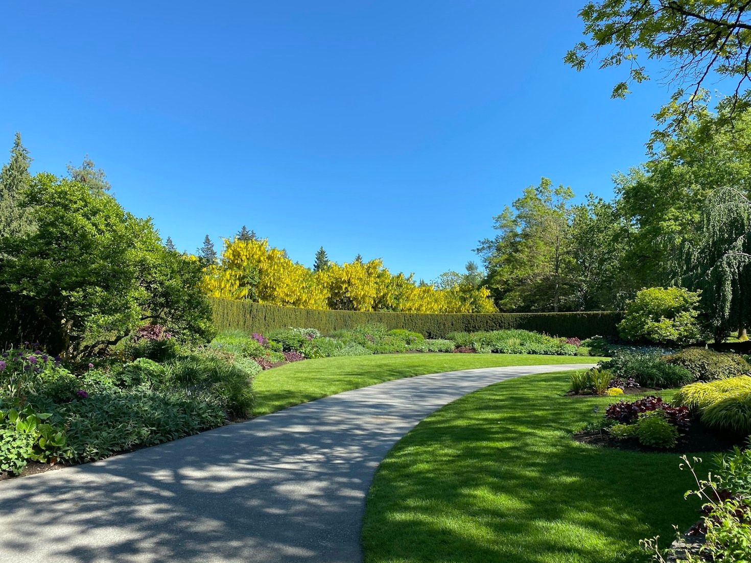 De verborgen parels van Maarsveld ontdekken